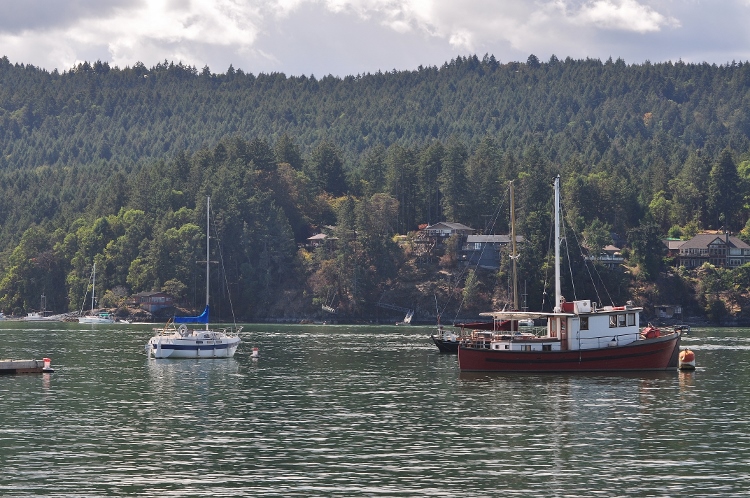 harbor scene
